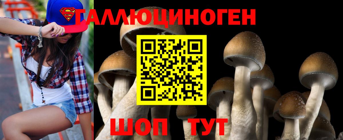 Галлюциногенные грибы Psilocybe  Вход с VPN  Кинель 
