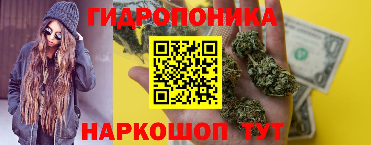 Конопля ГИДРОПОН  Канабис Bruce Banner  Кинель  Вход с VPN 
